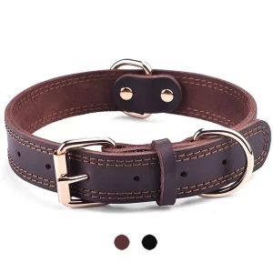 Close-up of a black leather dog collar with a silver buckle.
