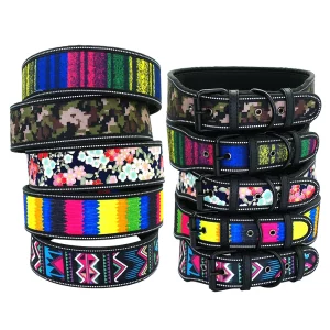 Nylon dog collar, front view with reflective striping