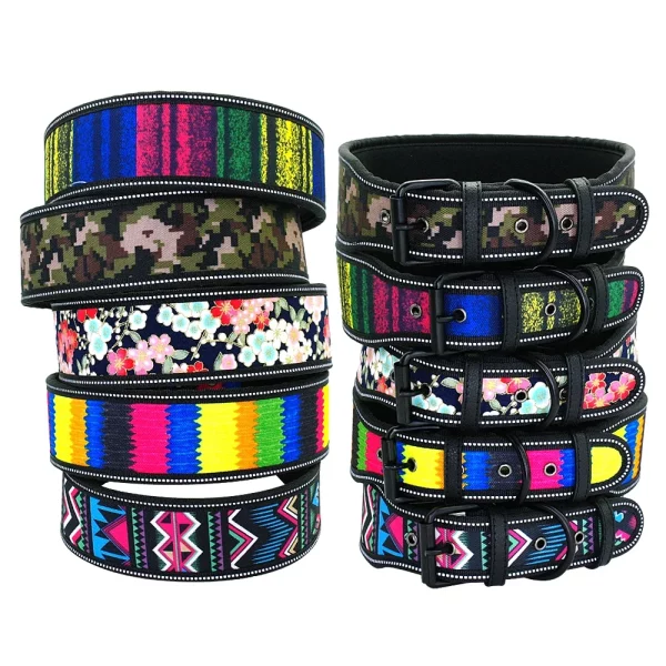 Nylon dog collar, front view with reflective striping