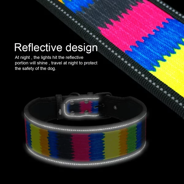 Nylon dog collar, close-up of striped pattern