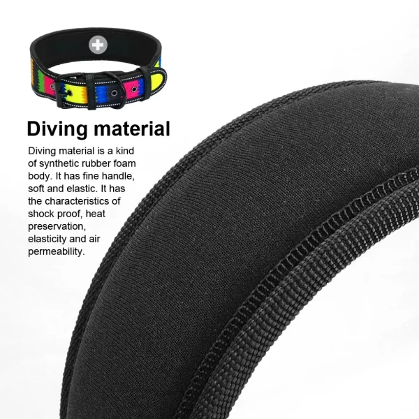 Nylon dog collar, detail of buckle and D-ring