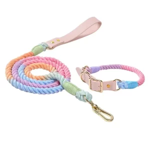 Close-up of a colorful PU leather dog collar with metal hardware.