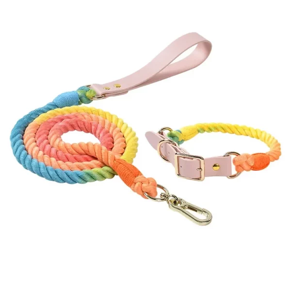 A dog wearing a vibrant PU leather collar during an outdoor walk.