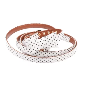 Small dog collar and leash set with red bandana, showing front view.