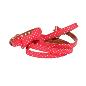 Close-up of a small dog collar featuring a playful dot pattern and a decorative bow.