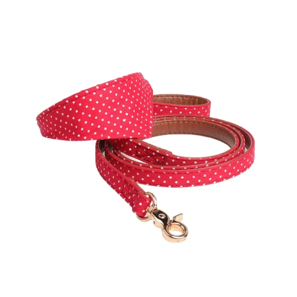 A teacup Chihuahua model wearing a white bow collar and leash.