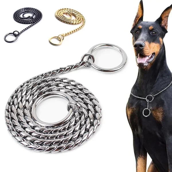 Dog training collar, close-up of snake chain links, detail view