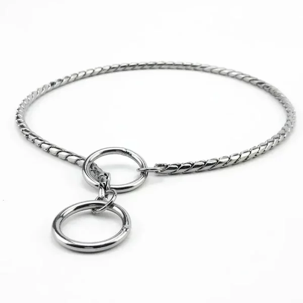 Dog training collar, detail of the metal clasp, secure fastening