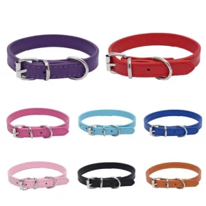 Adjustable dog collar with silver alloy buckle, close-up view