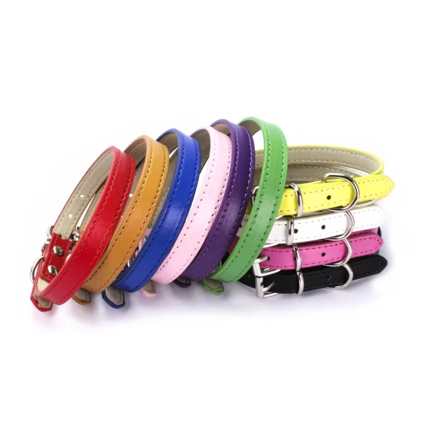 Collection of colourful dog collars laid out flat