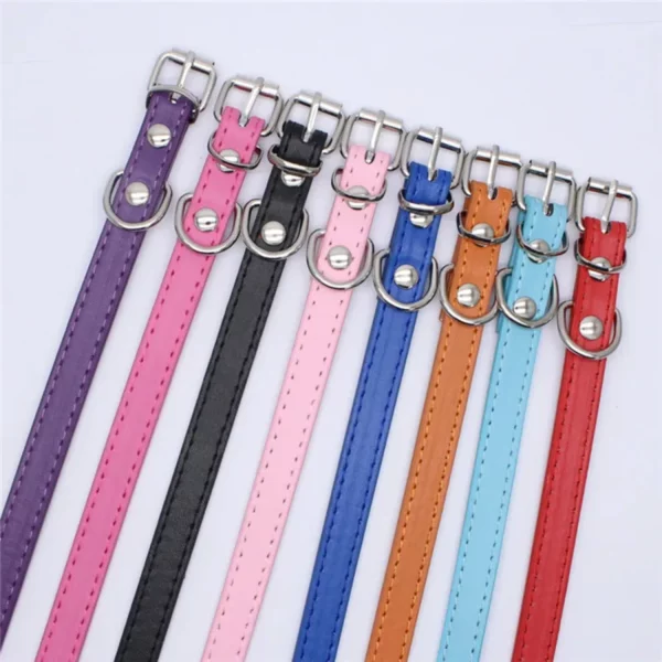 Detail of the textured PU leather material on a dog collar