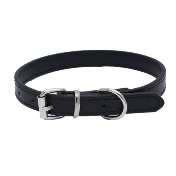 Green adjustable dog collar on a pet, side profile