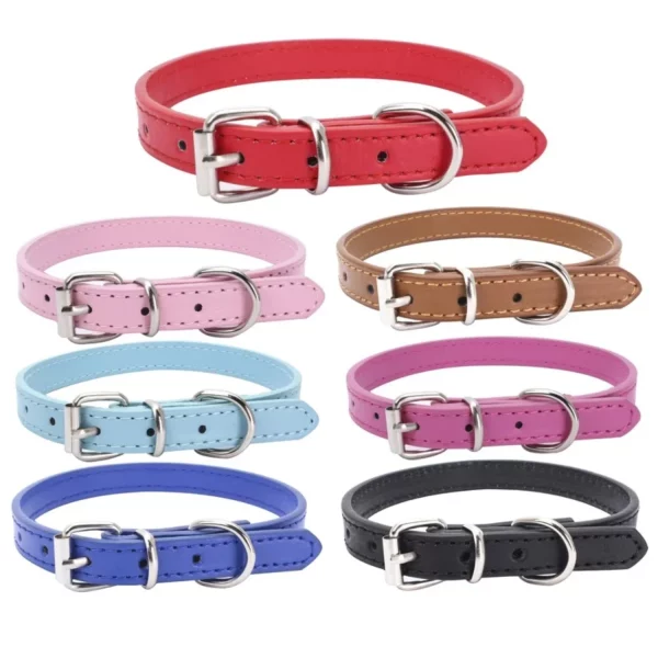 Blue PU leather dog collar on a dog, showing fit