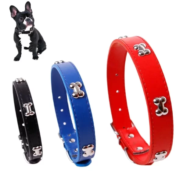 Leather dog collar in black, shown on a dog's neck