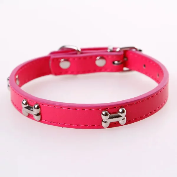 Leather dog collar with padded interior for comfort
