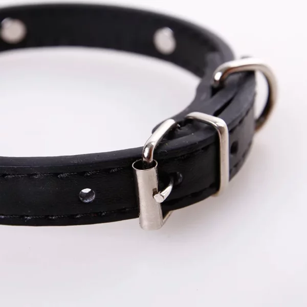 Collection of leather dog collars in various colours