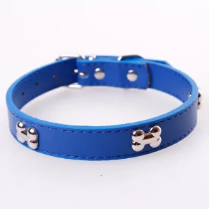 Durable leather dog collar, close-up of bone detail