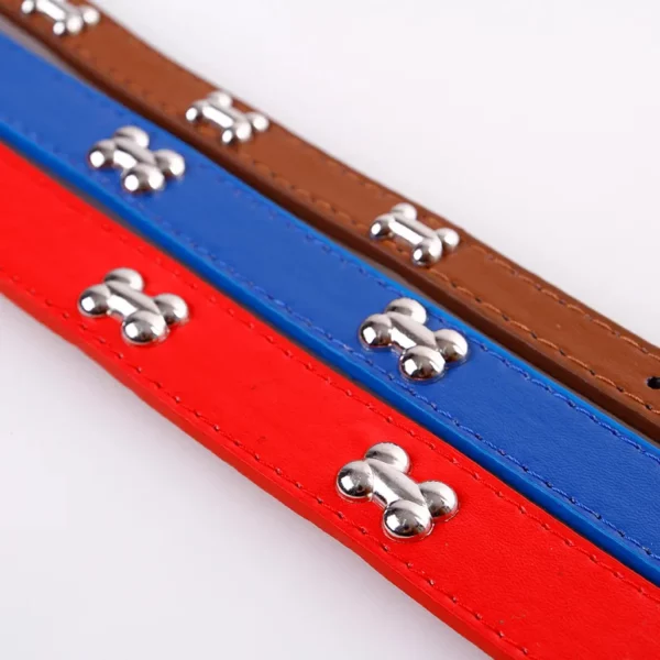Close-up of the metal buckle on a leather dog collar