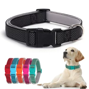 Close-up of a reflective dog collar showing the nylon texture and stitching