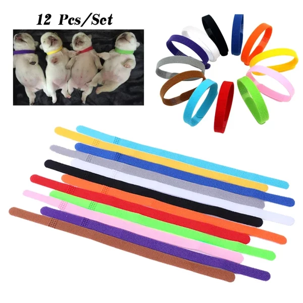 Collection of puppy ID collars showcasing the variety of colours
