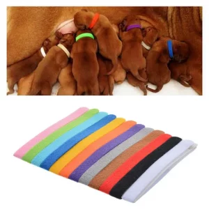 Set of 12 colourful puppy ID collars displayed together