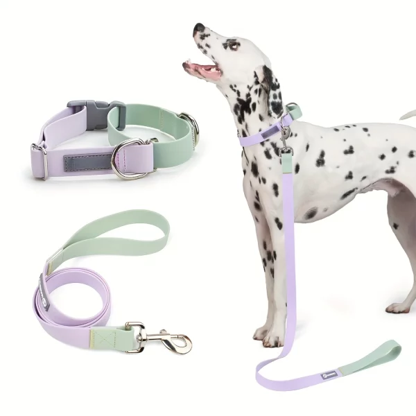 Leash attachment point on a sky blue adjustable dog collar