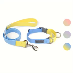 Front view of a light purple adjustable dog collar