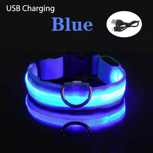 LED dog collar showing different flashing modes in darkness