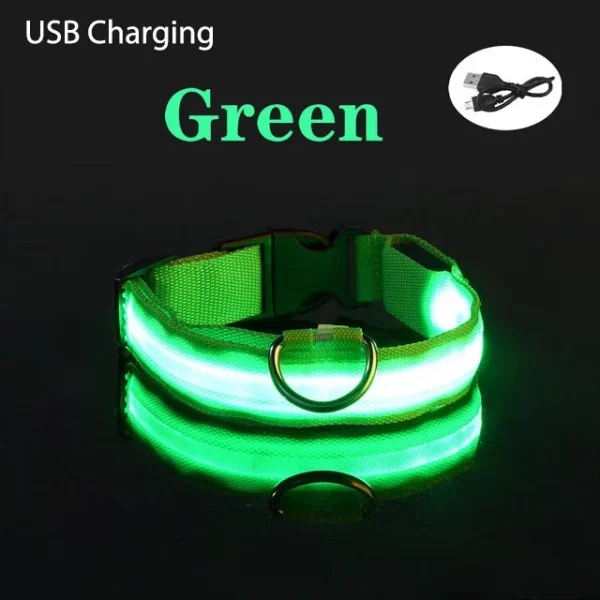 TOUA Choice XS/M Dog Collar USB Rechargeable Light Up LED Collar Lights Adjustable Soft Safety Night Light Flashing Pet