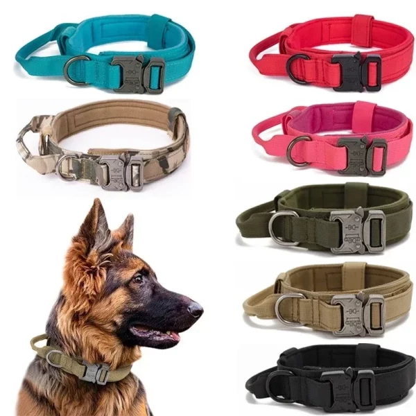 Close-up of the metal buckle on a tactical dog collar