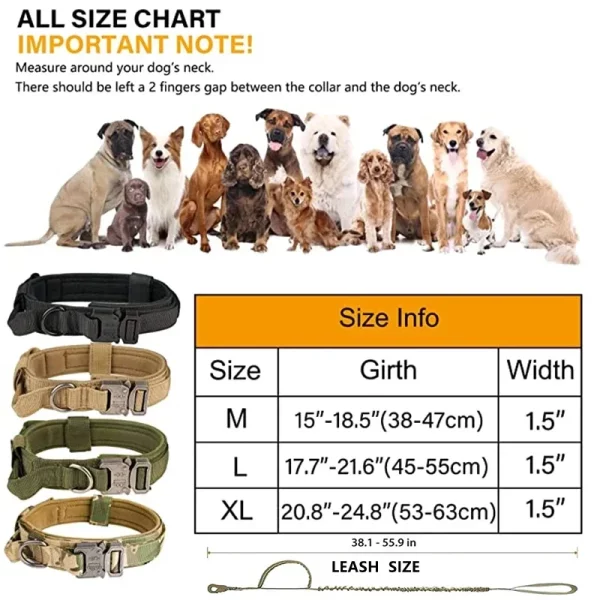 Dog wearing a green tactical collar with control handle