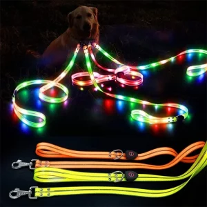 LED dog leash glowing brightly in the dark, showcasing its visibility.