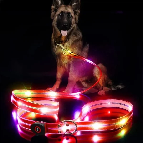 Close-up of the USB charging port on the LED dog leash.