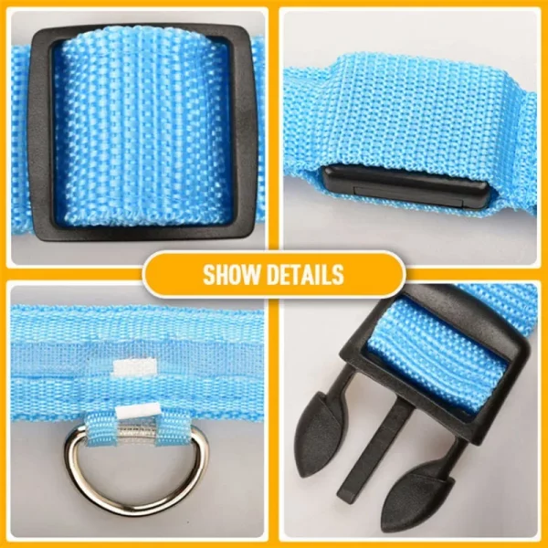Multi-colored LED dog collar glowing in the dark