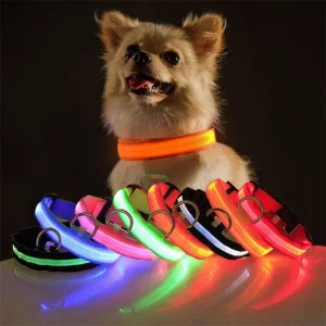 LED Dog Collars