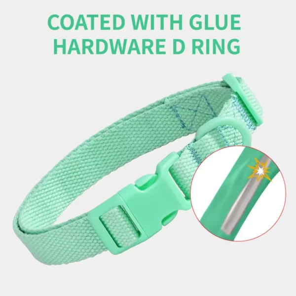 Adjustable dog collar, side view showing nylon weave, on a dog's neck