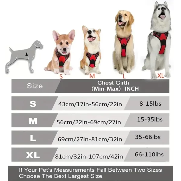 The complete dog harness and collar set laid out flat