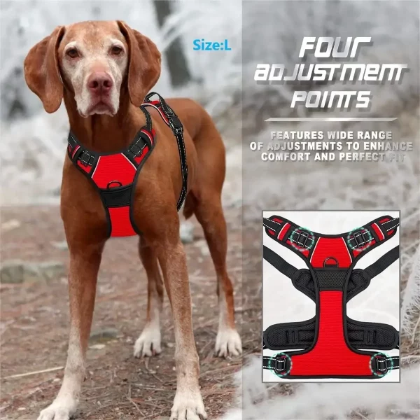 Close-up of the secure buckle on a dog harness
