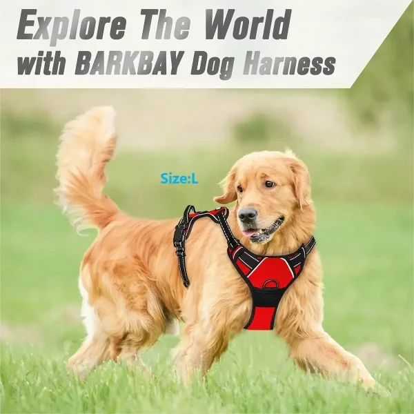 A happy puppy walking on a leash attached to the harness