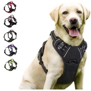 Dog Collars Harnesses