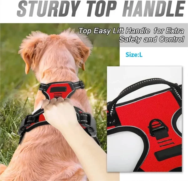 Dog harness and collar set in a vibrant pink colour