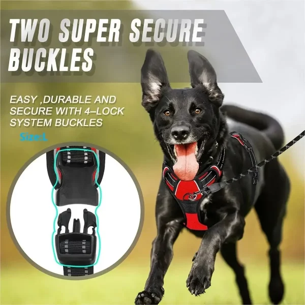 Detail of the durable leash connector on the dog harness