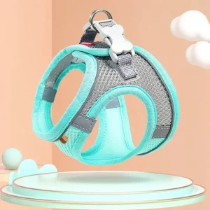 Front view of an adjustable dog harness on a dog