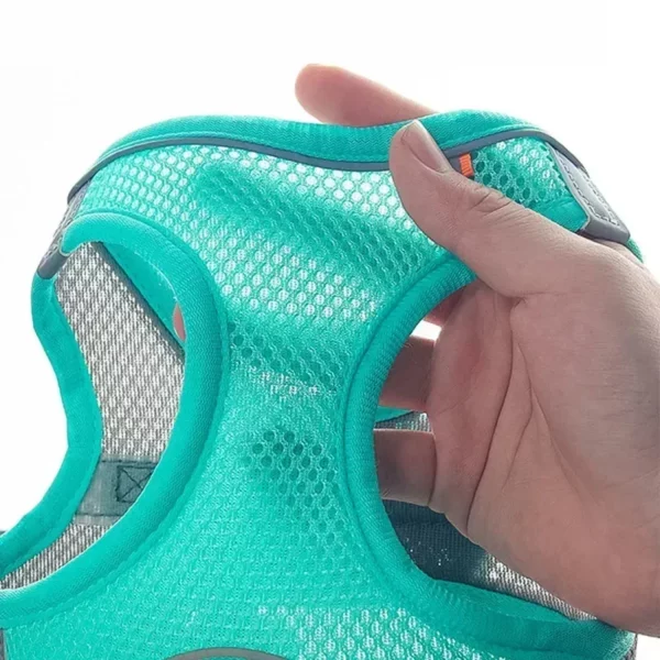 Detail of the back D-ring attachment point on a dog harness