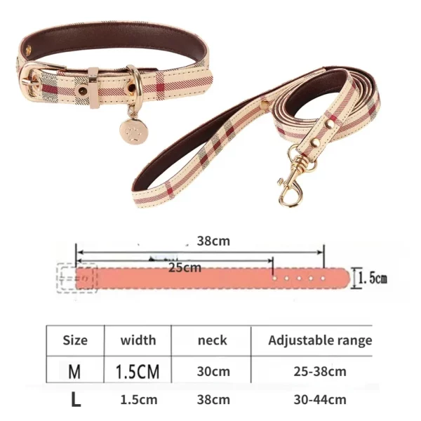 Leather pet collar and leash set, black stripe design, dog on a walk