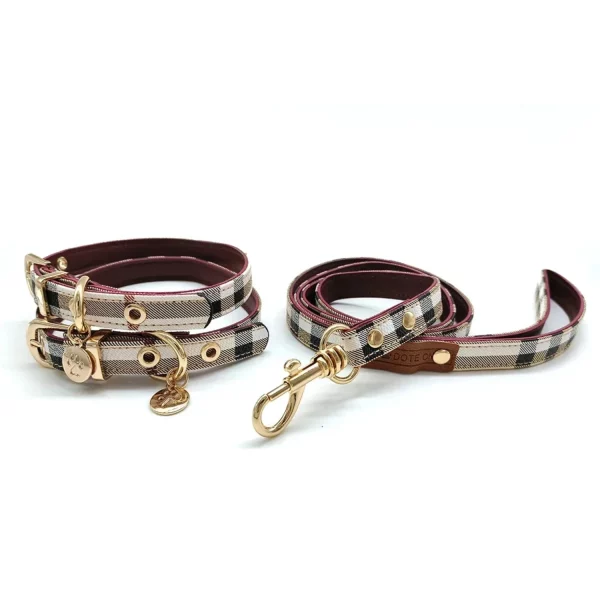 Leather pet collar and leash set, view of leash connector, dog walking