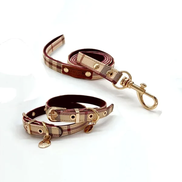Leather pet collar and leash set, showing plaid pattern, dog posing