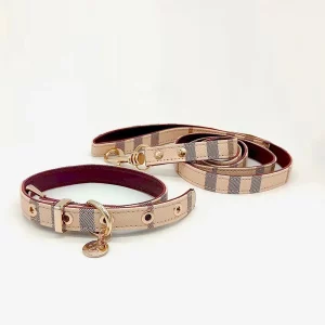 Leather pet collar and leash set, close-up of buckle detail, dog wearing collar