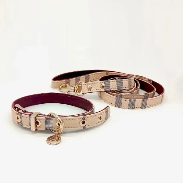 Leather pet collar and leash set, close-up of buckle detail, dog wearing collar