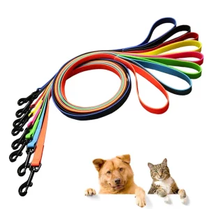 Blue PVC dog leash with a metal clip, close-up view